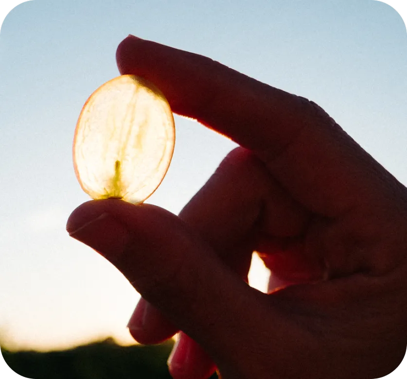 Image of orange peel